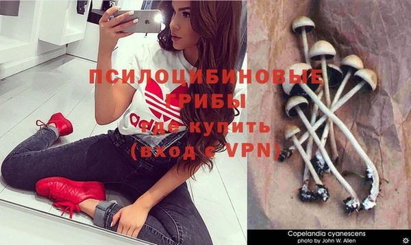 МДПВ Армянск