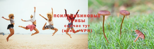 стафф Аркадак