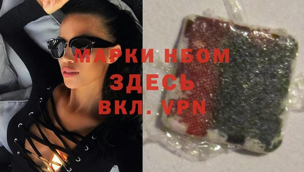 стафф Аркадак