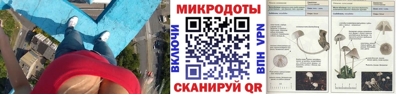 мега зеркало  где можно купить   Щёкино  Галлюциногенные грибы Psilocybine cubensis 